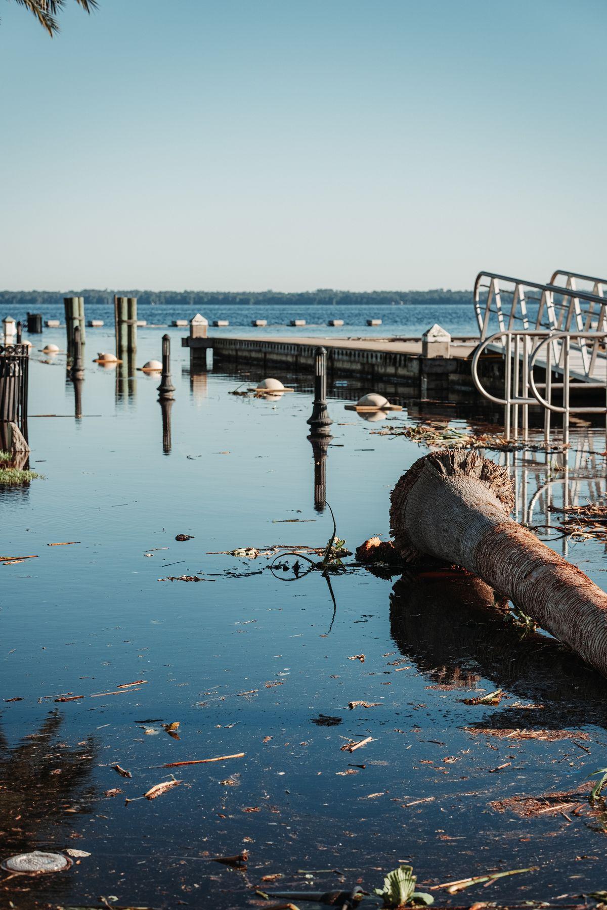 Dock maintenance, lighting, and inspection services on a Florida waterway