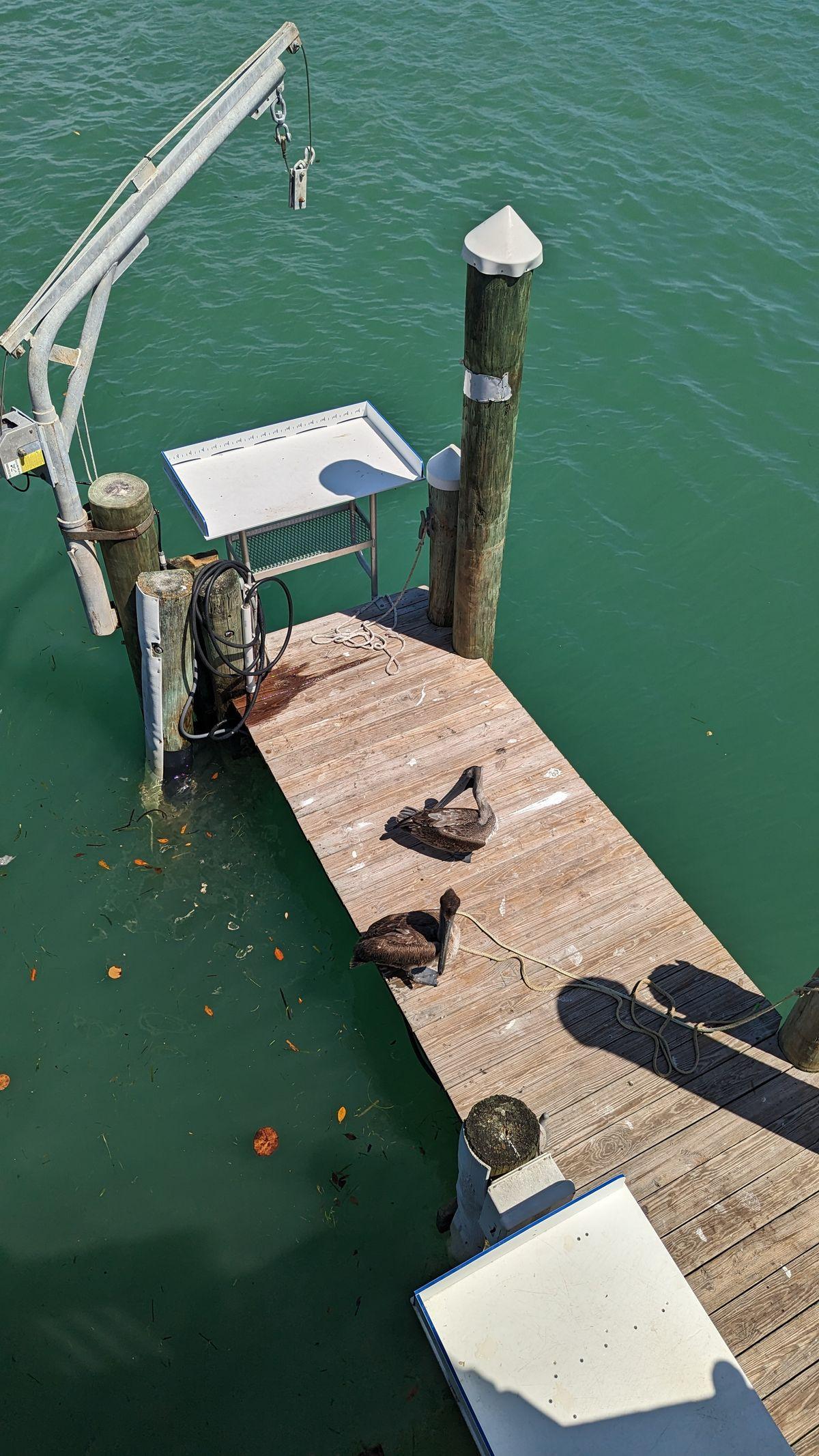 Dock repair and construction on a Northeast Florida waterway